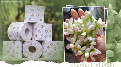 woman makes gajra with tissue viral story, Mom uses tissue paper to create realistic gajra, tissue paper art, viral video, twitter reactions, indian express, indian express news