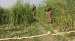 UP dalit murder murder, dalit murder murder, Unnao dalit murder murder, Unnao dalit murder death, dalit violence, unnao, up crime, india news, indian express