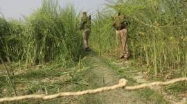 UP dalit murder murder, dalit murder murder, Unnao dalit murder murder, Unnao dalit murder death, dalit violence, unnao, up crime, india news, indian express