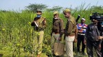 Cops say second Unnao suspect not a minor; claim key evidence in case