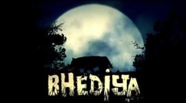 varun dhawan bhediya