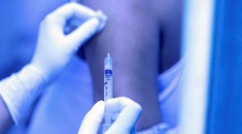 Amid global curbs, CSIR-IICT, 3 cos to develop vaccine components locally