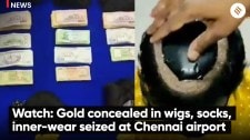 Watch: Gold concealed in wigs, socks, inner-wear seized at Chennai airport