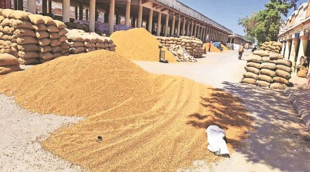 Maharashtra farmers APMC ACt, APMC, Maharashtra news, Pune city news, Indian express