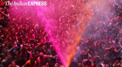 Holi, Holi celebrations