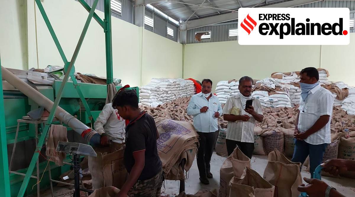 Farmers bring chana at a procurement centre run by Vikas Agro FPC at village Talki in Latur district. (Express File)