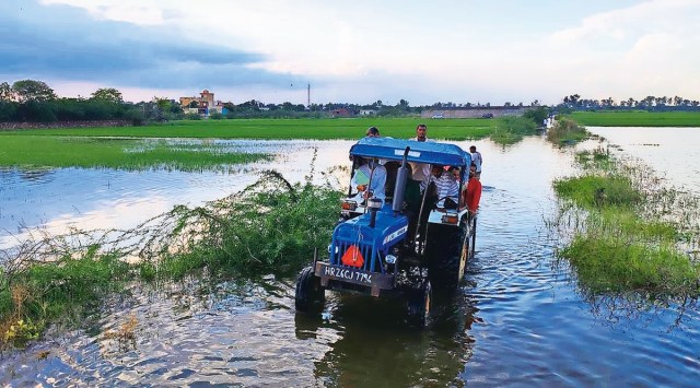 Najafgarh lake restoration, Delhi lake, Delhi government, National Green Tribunal, Delhi news, Indian express news