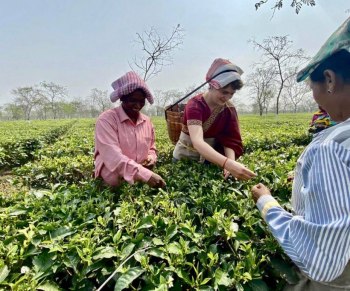 In poll bound Assam Priyanka Gandhi vows to hike tea garden