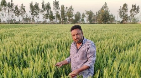 Punjab farmer