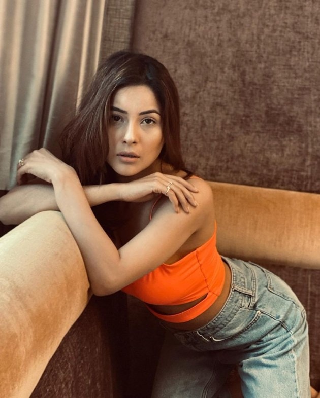 Shehnaaz Gills Stunning New Photoshoot Has Her Fans Swooning Entertainment Gallery News The 