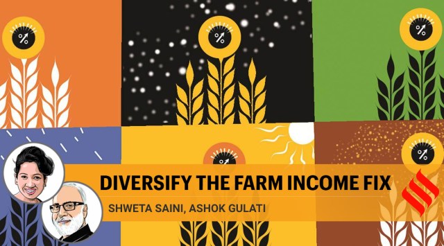 The study found that in the six states, three factors explained most of the agrarian growth.(Illustration: C R Sasikumar)