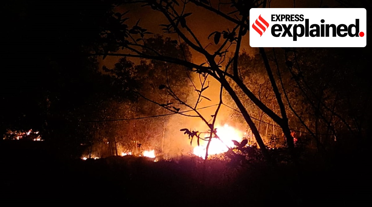 Simlipal forest fire, Simlipal fire, Simlipal forest, Simlipal fire cause, Simlipal fire news, Indian Express
