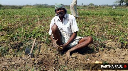 Gujarat farmers news