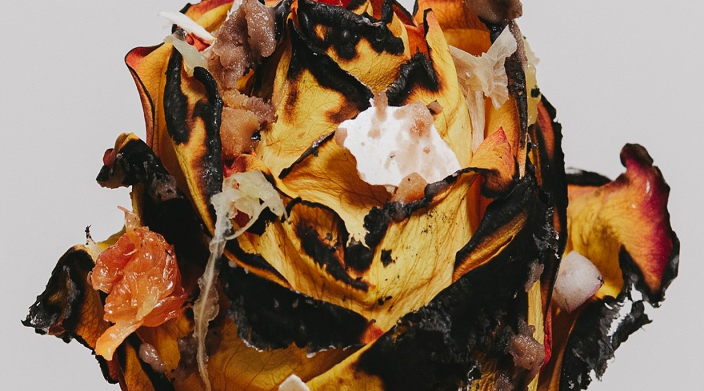 If everything smells bad, you’re not alone World News The Indian