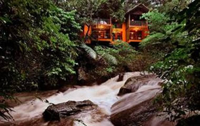 forests, forests in India, forest accommodations in India, wooded stays for Indian tourists, lesser known Indian destinations, Indian Express news