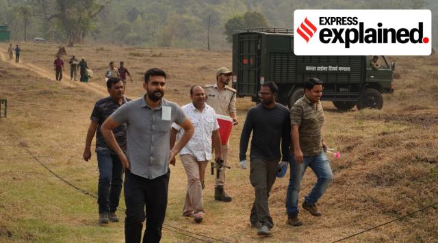 Tigress Sundari was shifted back to Madhya Pradesh on Wednesday.  