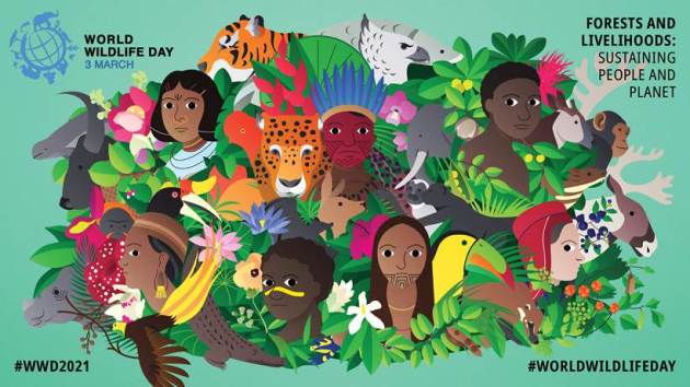 World Wildlife Day, World Wildlife Day 2021, World Wildlife Day 2021 theme, World Wildlife Day PM Modi message, World Wildlife Day India, wildlife places to visit in India, indian express news