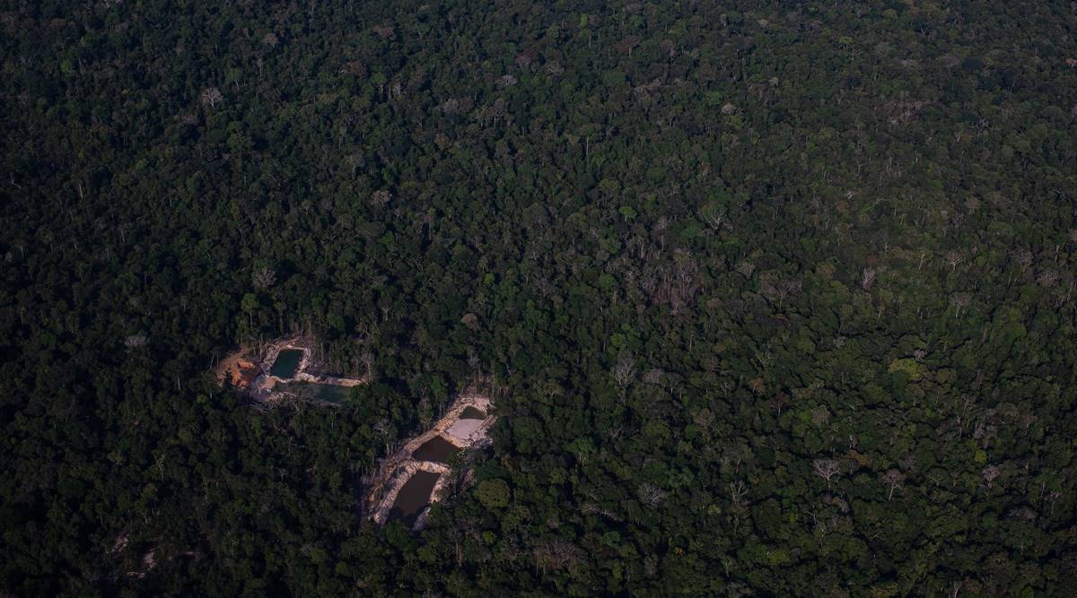 His plane crashed in the Amazon. Then came the hard part.