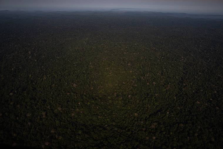 His plane crashed in the Amazon. Then came the hard part.