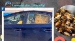 woman driving with bees, car filled with bees, Alabama woman driving with bees, viral news, odd news, indian express
