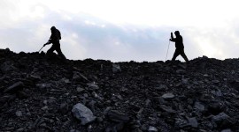 India exports 8 lakh tonnes of coal to neighbouring countries in FY'21