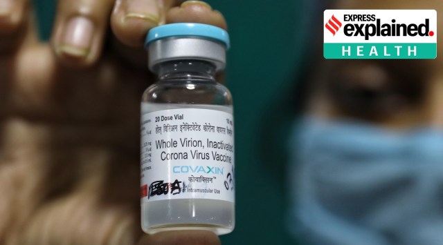 Covaxin, Covaxin efficacy, Bharat Biotech