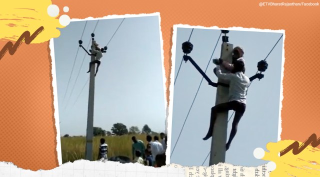 man climbs electric pole, man climbs electric pole second marriage demand, 60 yr old electric pole for second marriage, dholpur man climbs high tension line, viral news, odd news, Indian express news