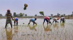 farmers news