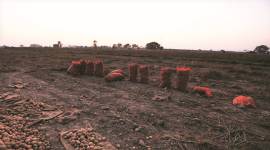 BJP vs SP in UP as man on bail for molestation kills victim’s father