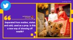 pak couple lion cub wedding shoot, lion cub wedding photoshoot, pakistan lion owning license, viral news, odd news, indian express