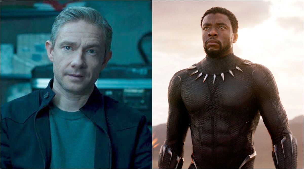 who plays in black panther