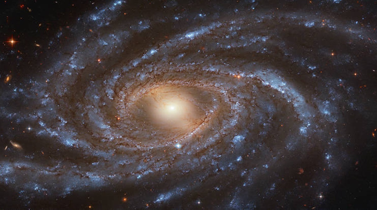 NGC 2336 galaxy, NGC 2336 hubble image, NGC 2336 discovery, NGC 2336 supernova, NGC 2336 nasa image, NGC 2336 distance, NGC 2336 spirals