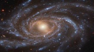 NGC 2336 galaxy, NGC 2336 hubble image, NGC 2336 discovery, NGC 2336 supernova, NGC 2336 nasa image, NGC 2336 distance, NGC 2336 spirals