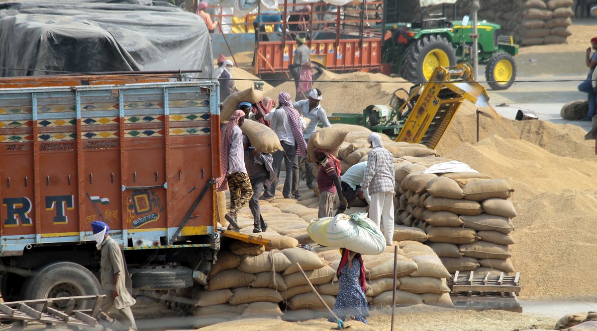 Odisha government is reviewing the procurement procedure of paddy (File Photo)