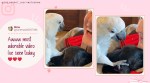 parrot meets puppy, pets meet new pets, parrots tells puppy love you, the parrot lady, cute animal videos, indian express