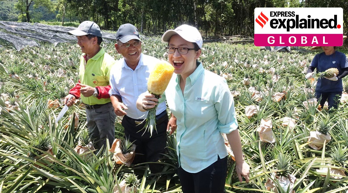 Taiwan Ambassador Bi-khim Hsiao tweets this picture with the caption: "Time for some Pineapple!  #freedompineapple". (Twitter/@bikhim)
