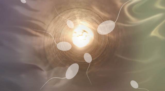 Fallopian tube blockage, what is fallopian tube blockage, causes of fallopian tube blockage, symptoms, fertility, reproductive health, parenting, indian express news