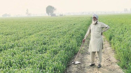 Punjab farmers,