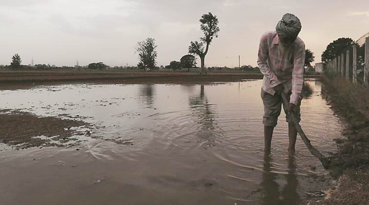 Punjab budget session: Amid desertification fear, Punjab House resolves to raise underground water level - The Indian Express