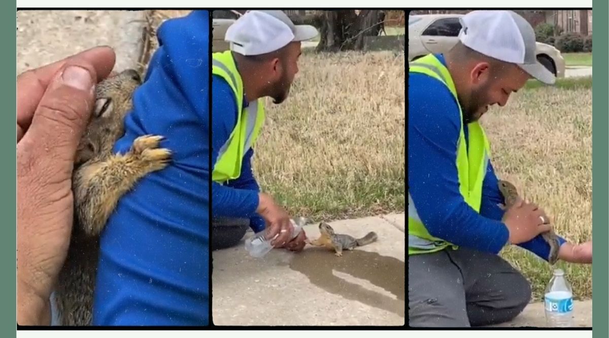 animal rescue, man helps baby squirrel drink water, thirsty rodent, thirsty squirrel, viral video, good news, indian express news
