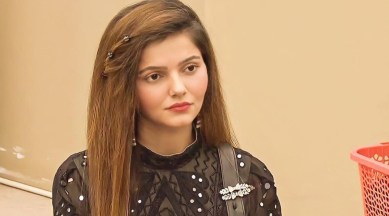 rubina dilaik