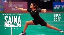 saina box office collection