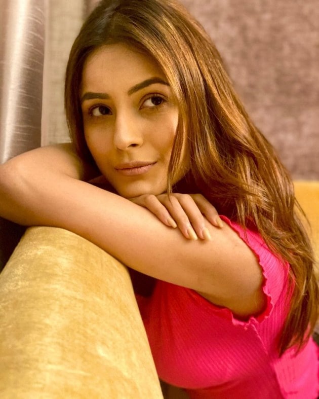 Shehnaaz Gill’s stunning new photoshoot has her fans swooning