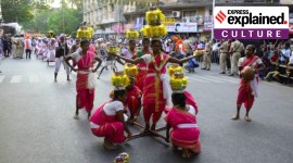 Shigmo, Shigmotsav, Shigmo Goa