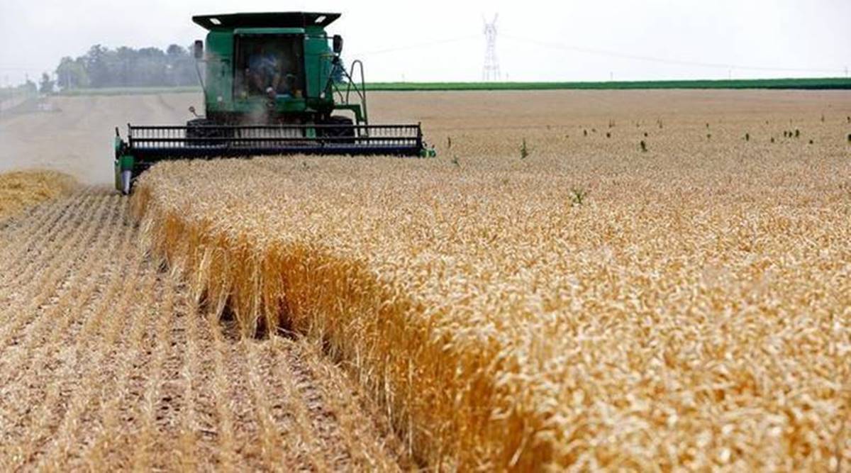 Centre agrees to reschedule wheat procurement in Punjab | India News ...
