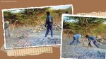 Gujarat, Rajula, Greater Gir, Gir forest lions, lion rescue, Gujarat forest official rescue lion, Gujarat rescue lion, viral video, trending, indian express, indian express news