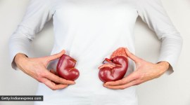 world kidney day 2021, tips to protect kidneys, easy lifestyle tips for kidney health during summer, summer health tips, indianexpress.com, indianexpress,
