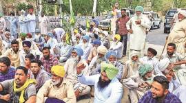 Baghapurana grain market, Punjab Congress, Moga district, Bhartiya Kisan Union, Punjab news, Farmers protest, india news, indian express