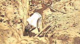 BSNL news, chandigarh news, Punjab and Haryana High Court, BSNL wires, BSNL theft, indian express