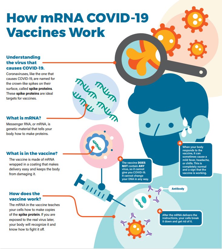 This viral TikTok explaining how COVID-19 vaccine works is winning the  internet